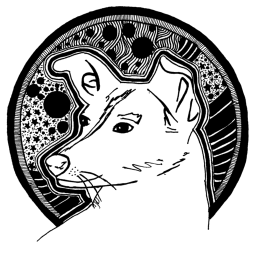 Hailey CMS