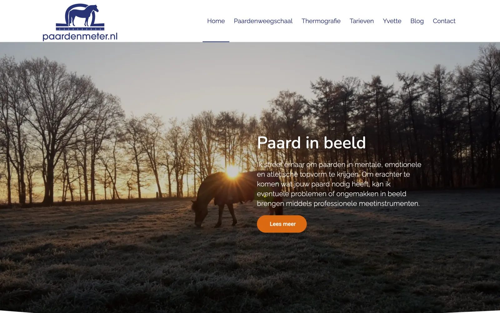 Paardenmeter